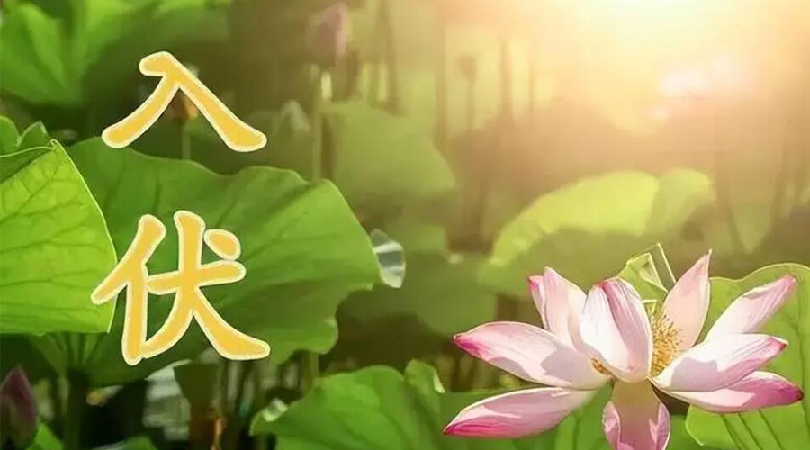 入伏天來襲！金環(huán)電器提醒大家要注意的事項(xiàng)