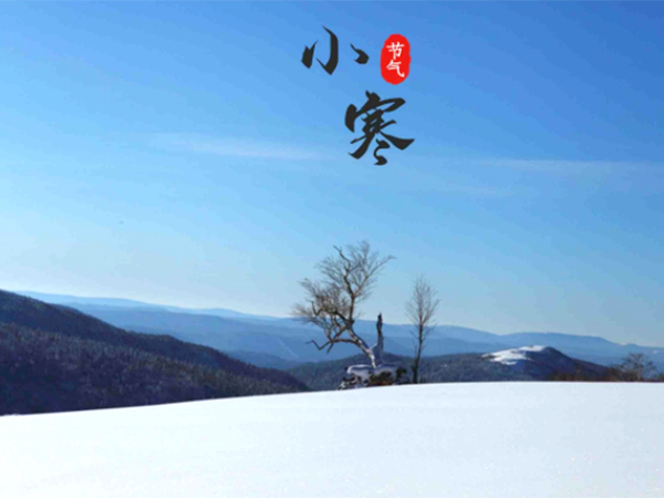 衣物護理 衣物護理