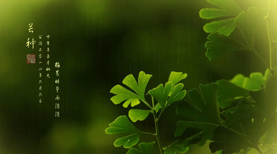 芒種時(shí)節(jié)！金環(huán)電器提醒大家的注意事項(xiàng)