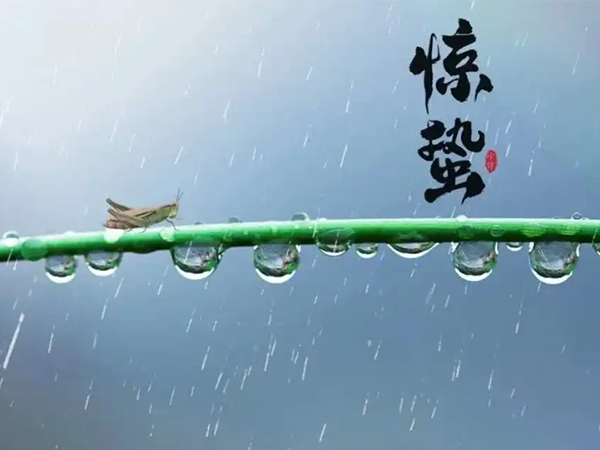 金環(huán)電器 金環(huán)電器