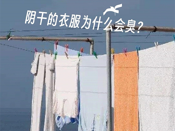 衣物護(hù)理機(jī)廠家 衣物護(hù)理機(jī)廠家