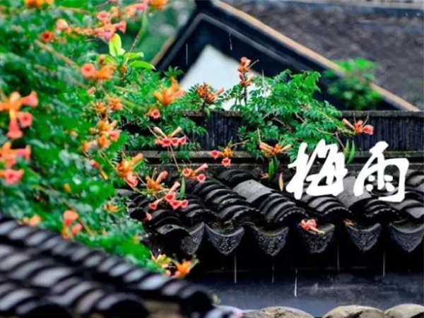 金環(huán)電器 金環(huán)電器